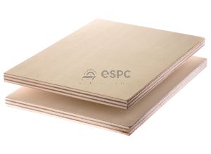 PLACAJ BRUT DIN LEMN DE PLOP